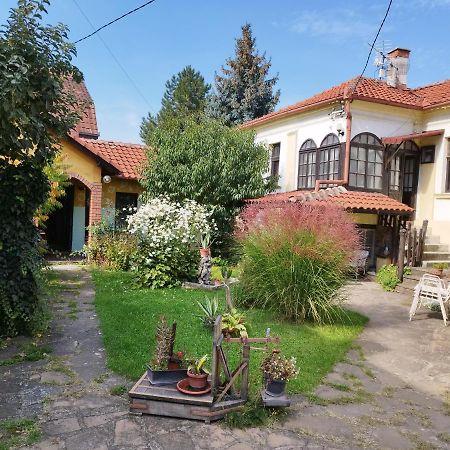 Ferienwohnung Garickina Kuca Pirot Exterior foto