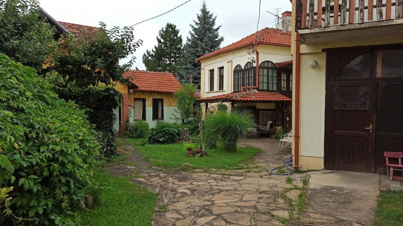 Ferienwohnung Garickina Kuca Pirot Exterior foto