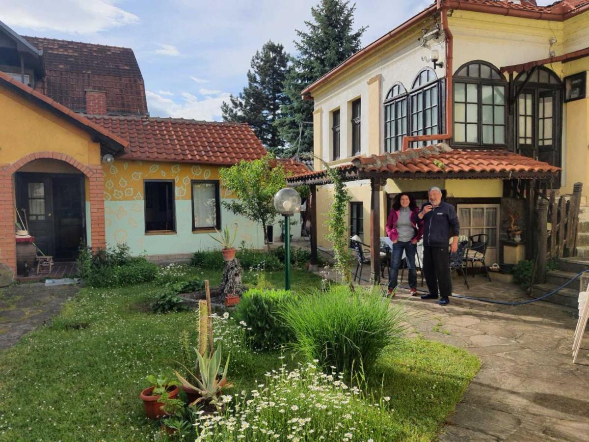 Ferienwohnung Garickina Kuca Pirot Exterior foto