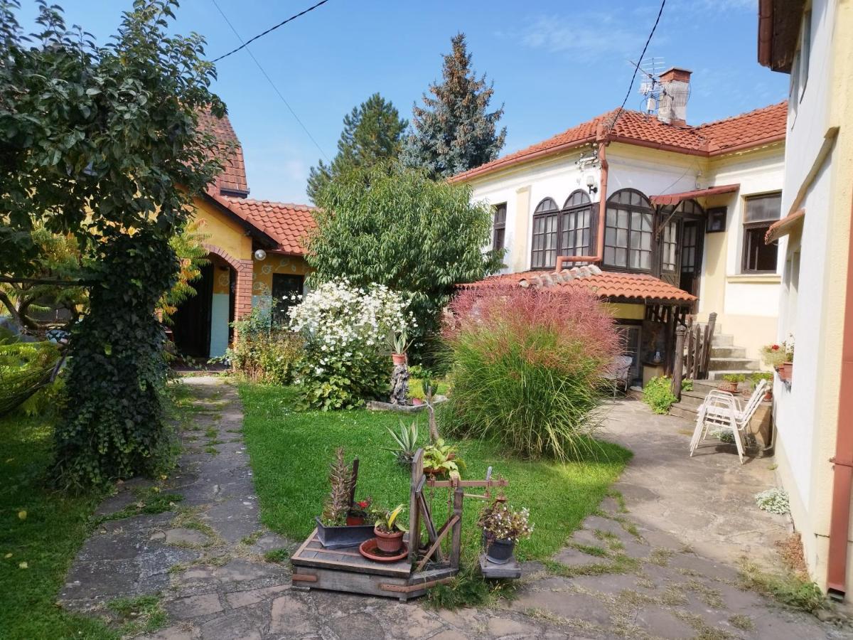 Ferienwohnung Garickina Kuca Pirot Exterior foto